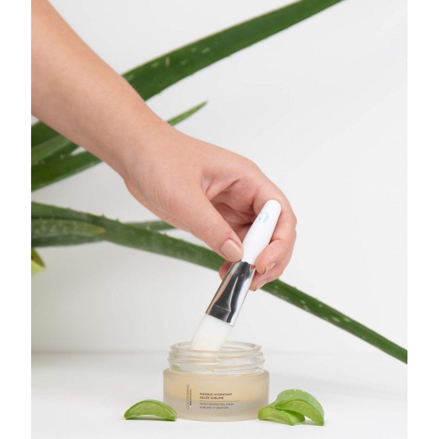 Masque hydratant gelée sublime + pinceau visage (offert) Masque hydratant gelée sublime + pinceau visage (offert)