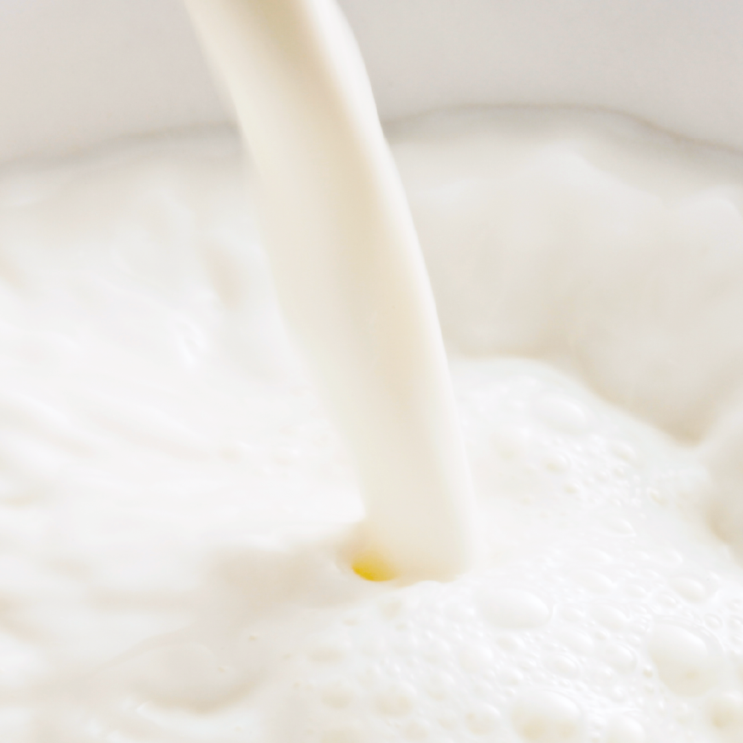 Savon au lait de chèvre Original