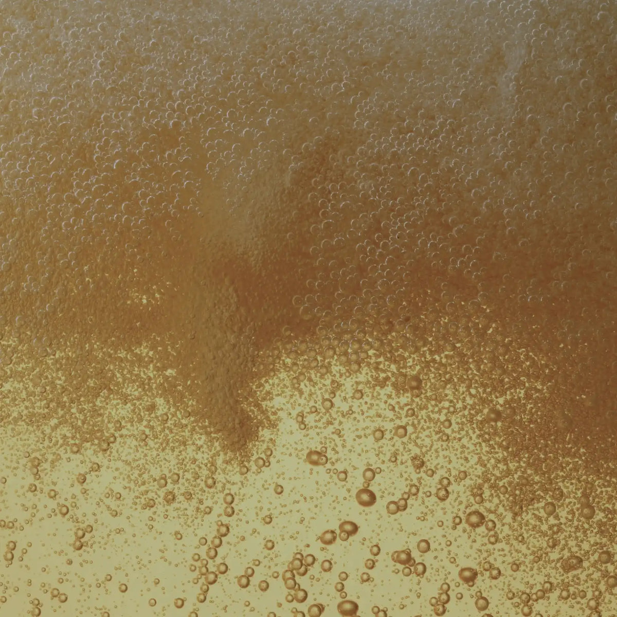Festes pflegendes Argan-Shampoo