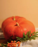 Savon liquide mains Pumpkin Latte – image produit 3
